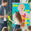 Painel Educativo Corpo Humano