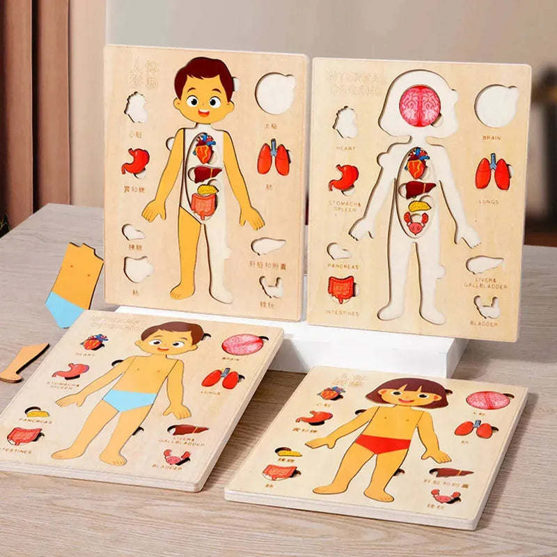 Quebra-cabeça Corpo Humano Educativo