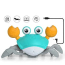 Caranguejo Criativo Musical 